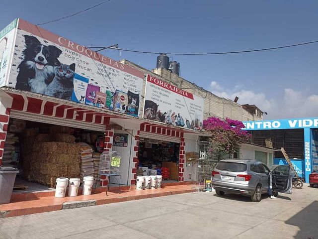 place photo 17