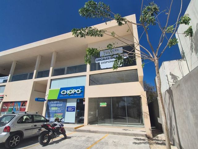 place photo 7