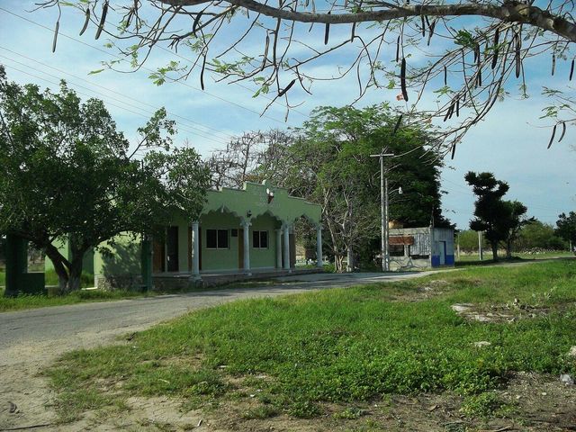 place photo 8