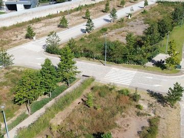 place photo 36