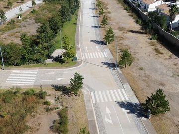 place photo 26
