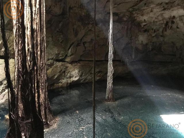 place photo 19