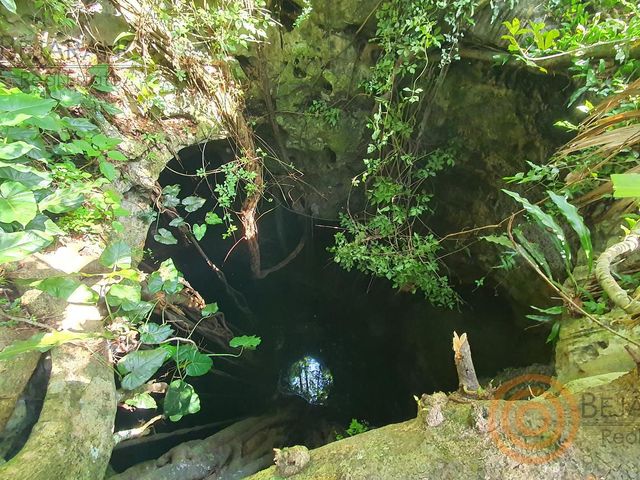 place photo 27