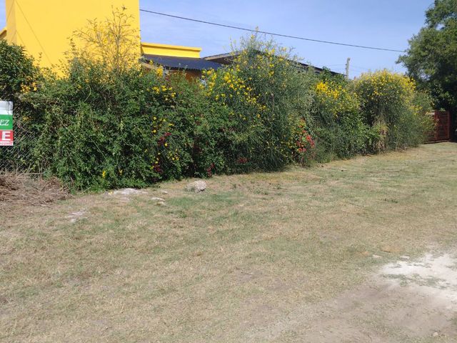 place photo 46