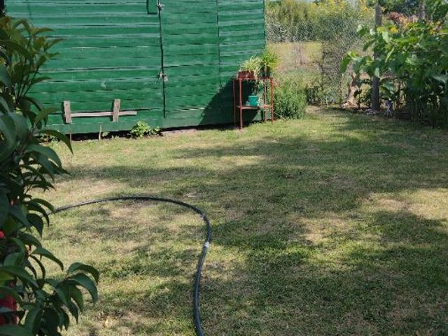 place photo 41