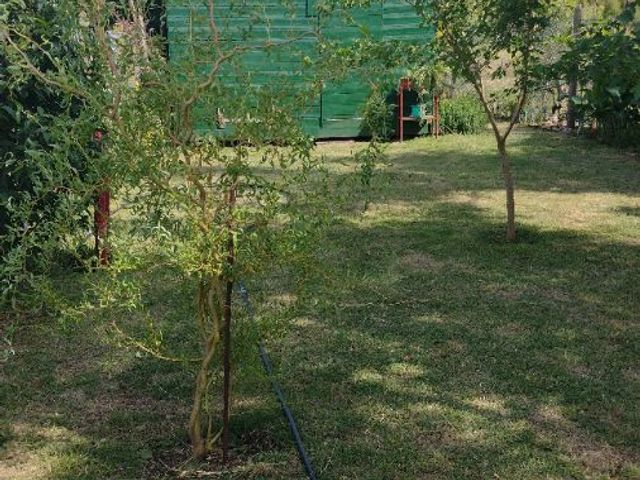 place photo 43