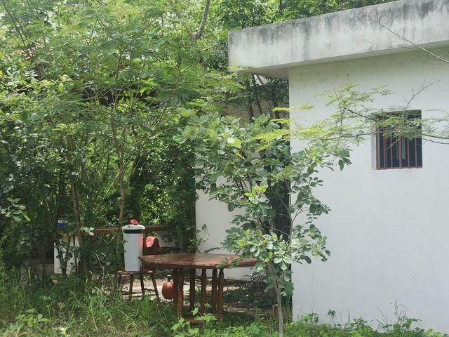 place photo 14