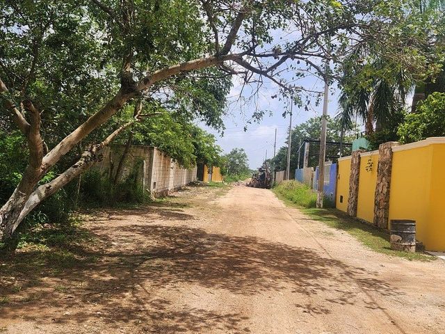 place photo 19