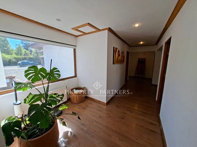 place photo 46
