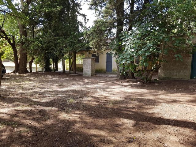 place photo 13