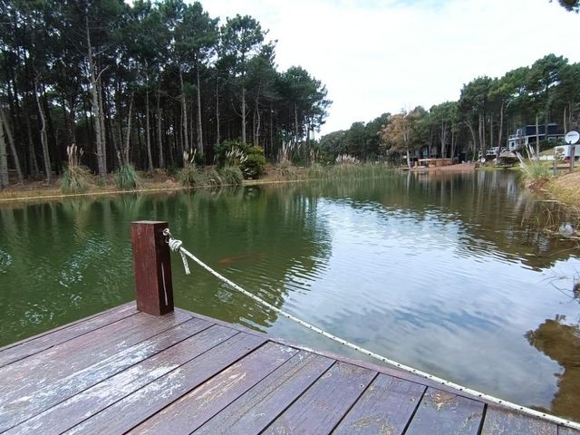 place photo 47