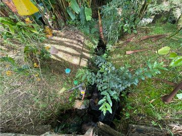place photo 51