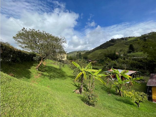place photo 49