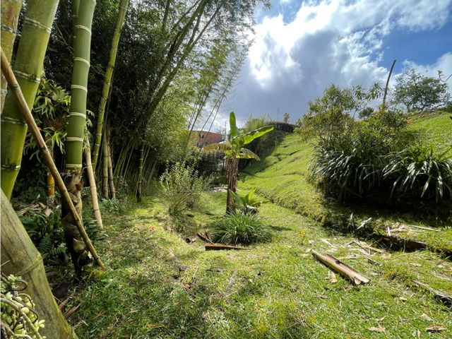 place photo 48