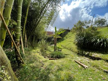 place photo 48