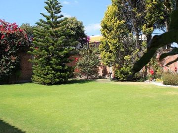 place photo 34
