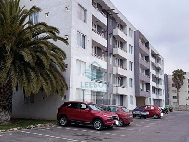 place photo 16