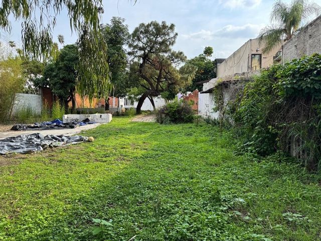 place photo 12