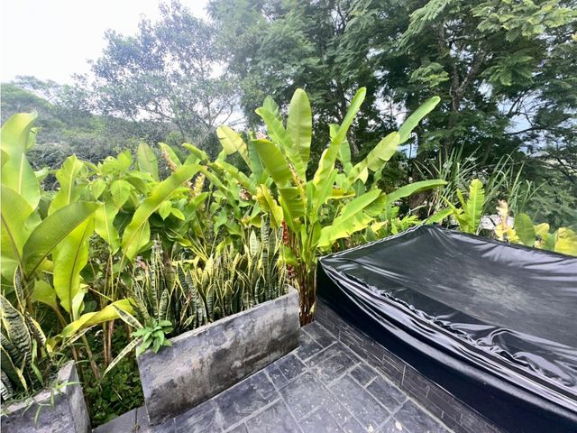 place photo 51