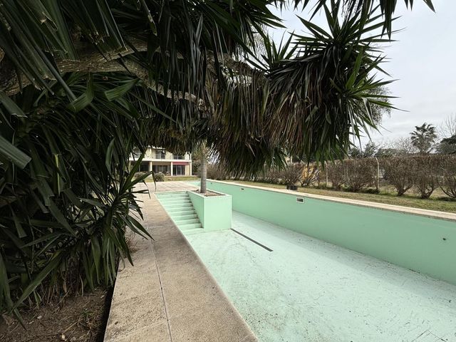 place photo 90