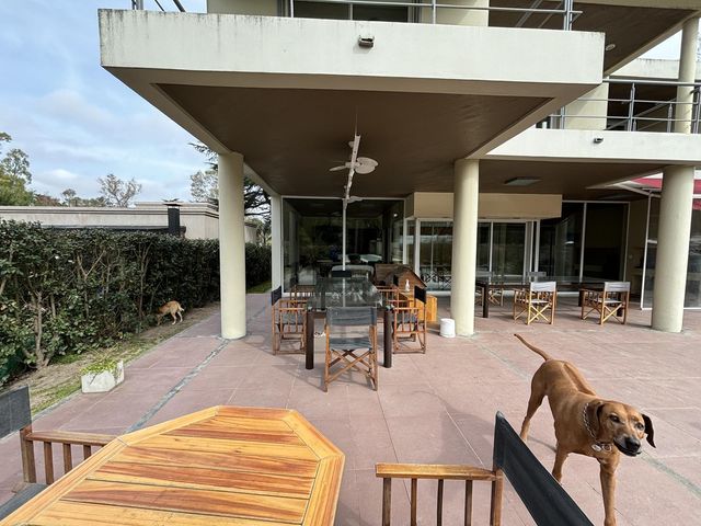 place photo 82