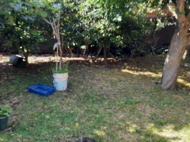 place photo 26