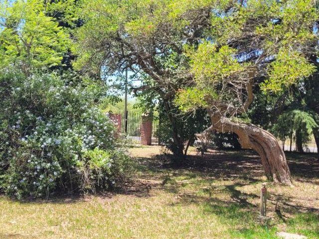 place photo 37