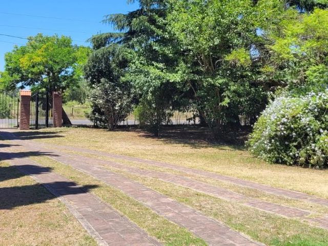 place photo 35