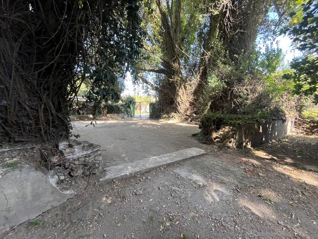 place photo 36