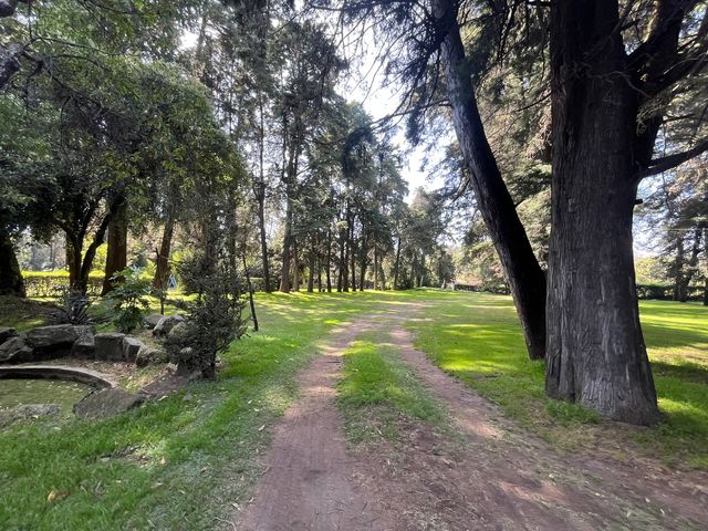 place photo 35