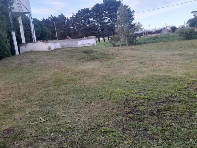 place photo 11