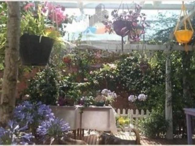 place photo 22