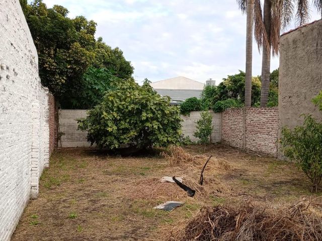 place photo 12
