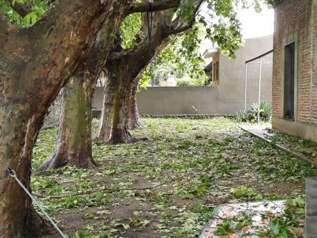 place photo 21