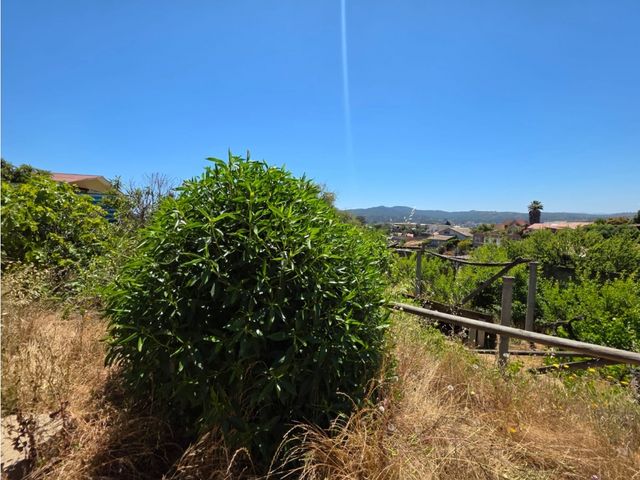 place photo 38
