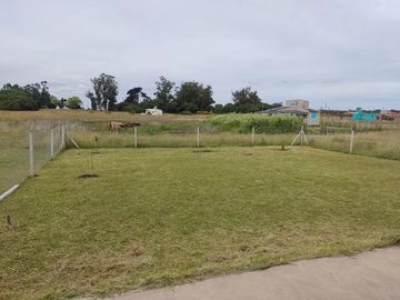 place photo 10