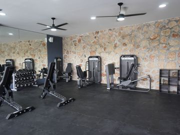 place photo 38