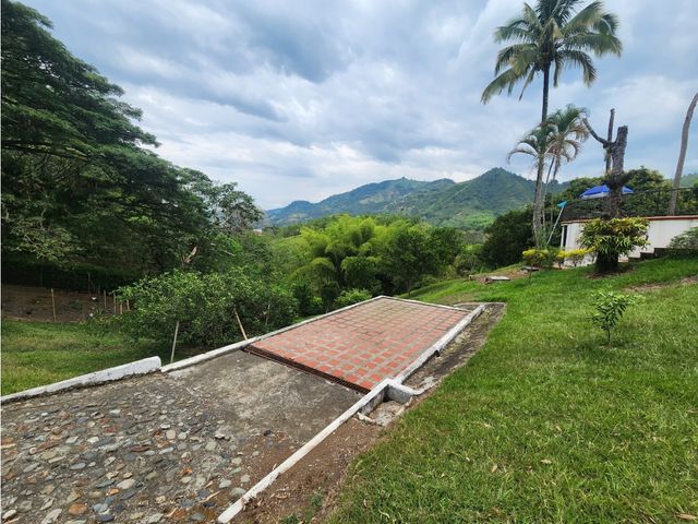 place photo 45