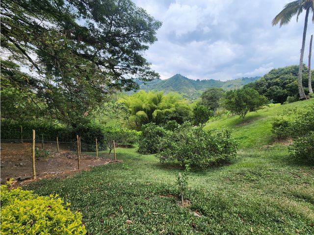 place photo 46