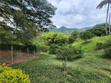 place photo 46