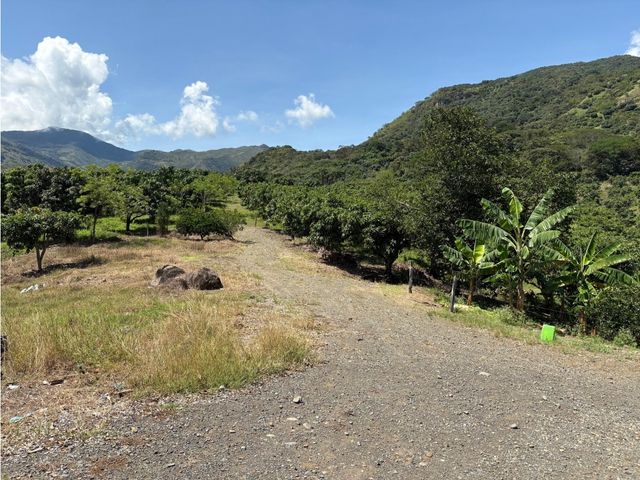 place photo 24