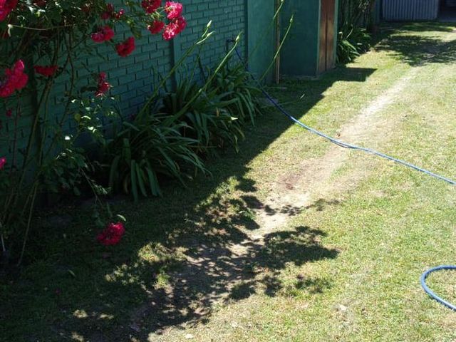 place photo 26