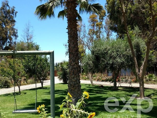 place photo 24