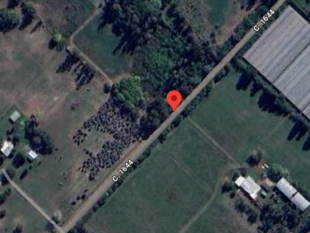 place photo 11
