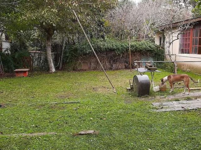 place photo 26