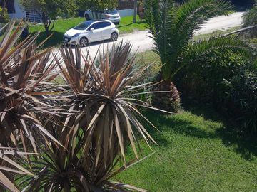 place photo 33