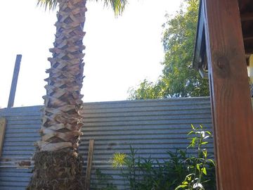 place photo 45