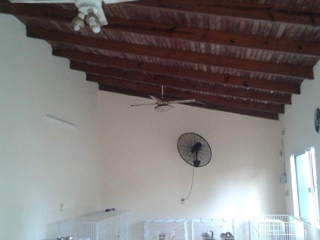 place photo 53