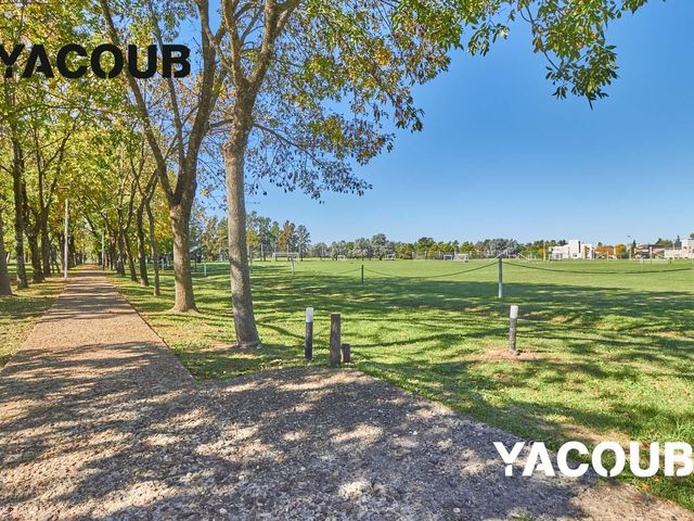 place photo 45