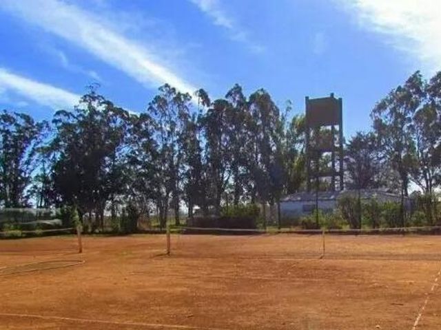 place photo 19